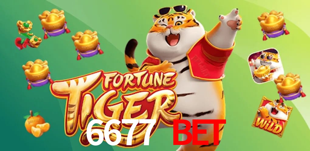 Experiência VIP 6677 bet